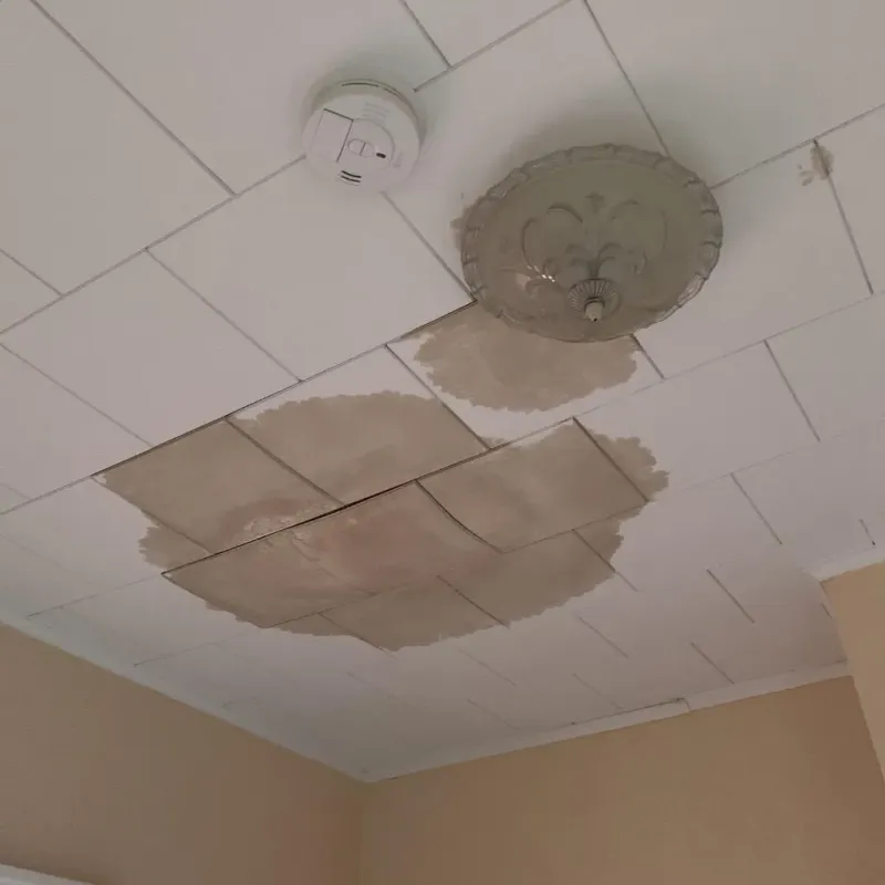 Ceiling Water Damage Repair in Yankton County, SD